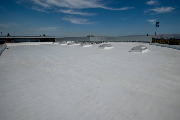 Best Asphalt Shingle Roofing  in Chester, CA