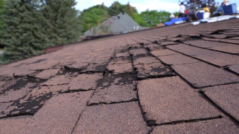 Best Flat Roofing  in Chester, CA