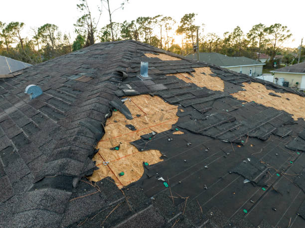 Best Roof Maintenance and Cleaning  in Chester, CA