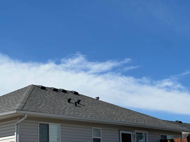 Best Roof Moss and Algae Removal  in Chester, CA